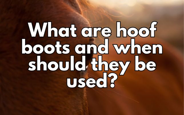 What are hoof boots and when should they be used?