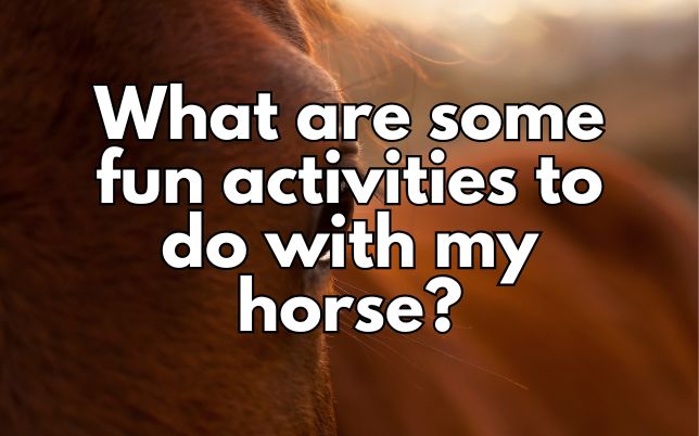 What are some fun activities to do with my horse?