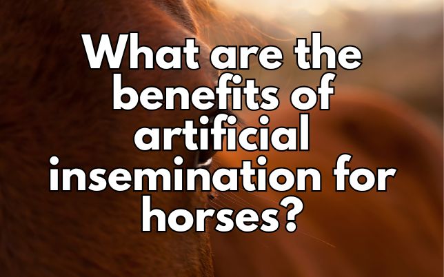 What are the benefits of artificial insemination for horses?