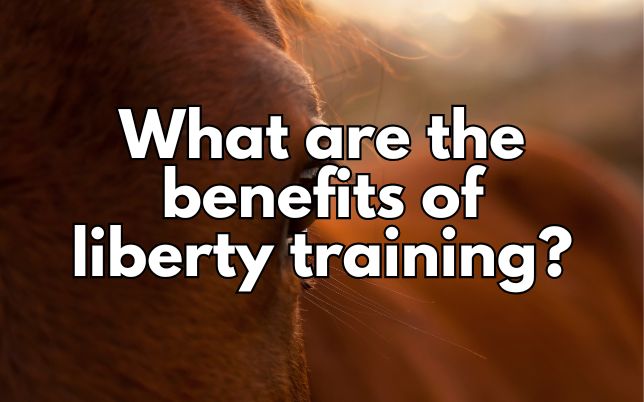 What are the benefits of liberty training?