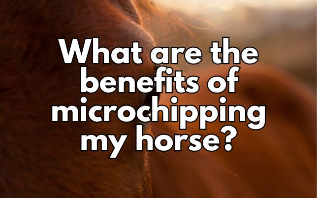 What are the benefits of microchipping my horse?