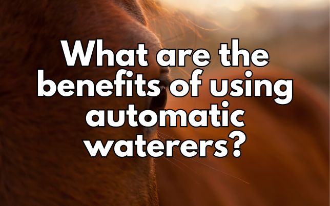 What are the benefits of using automatic waterers?