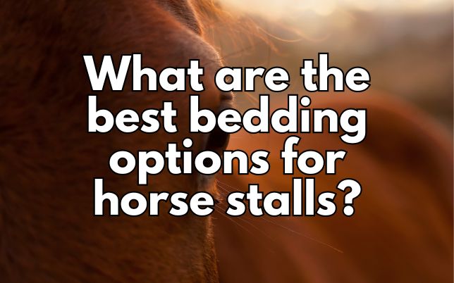 What are the best bedding options for horse stalls?