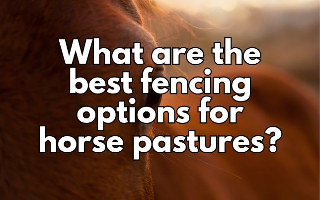 What are the best fencing options for horse pastures?