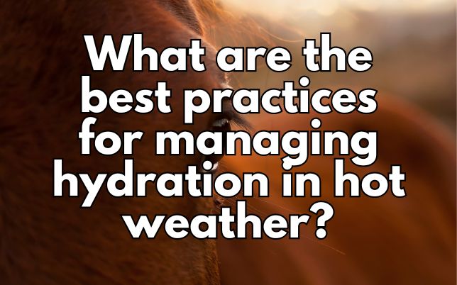 What are the best practices for managing hydration in hot weather?