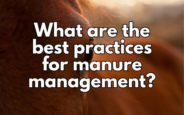 What are the best practices for manure management?