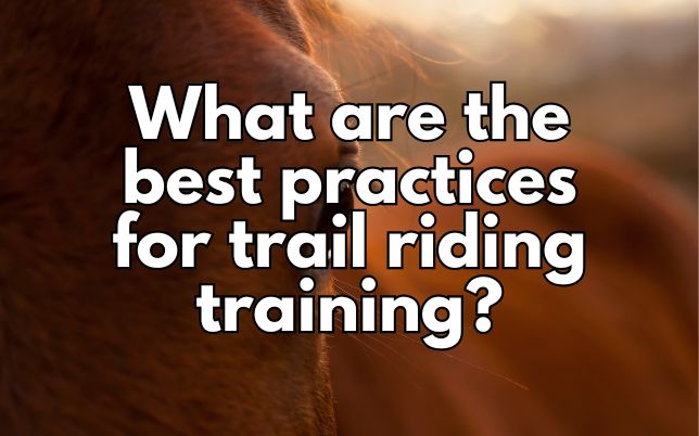 What are the best practices for trail riding training?