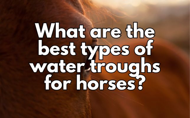 What are the best types of water troughs for horses?