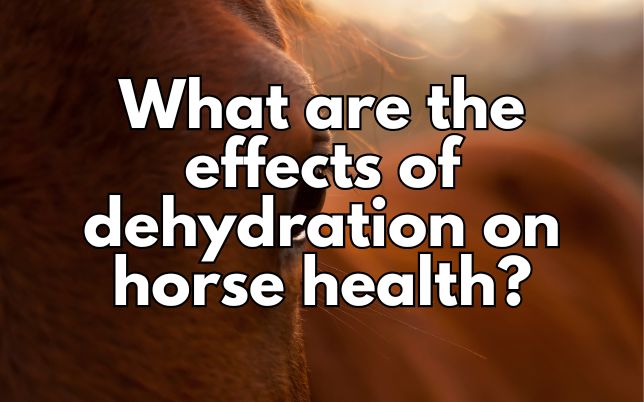 What are the effects of dehydration on horse health?