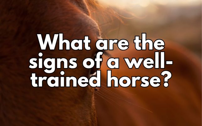 What are the signs of a well-trained horse?