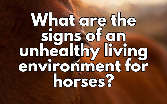 What are the signs of an unhealthy living environment for horses?