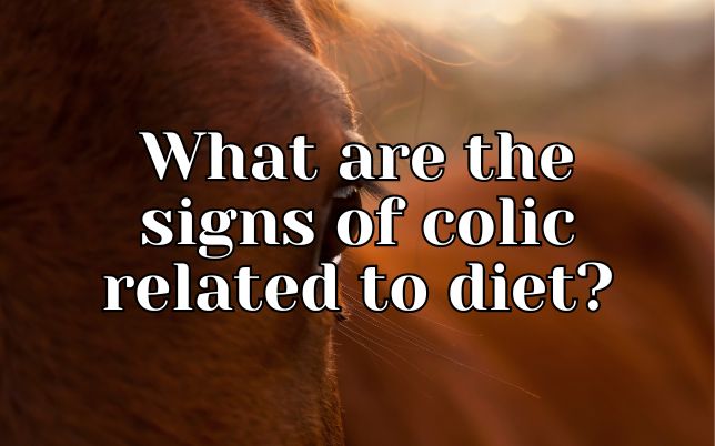 What are the signs of colic related to diet