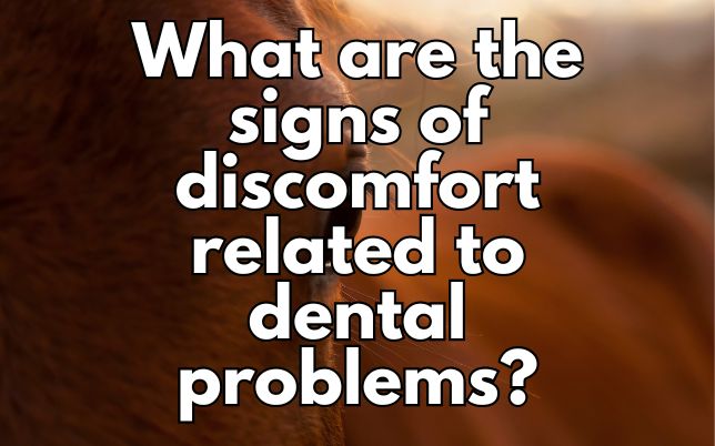 What are the signs of discomfort related to dental problems?