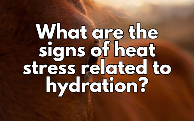 What are the signs of heat stress related to hydration?