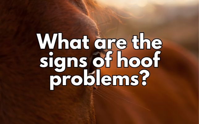 What are the signs of hoof problems?