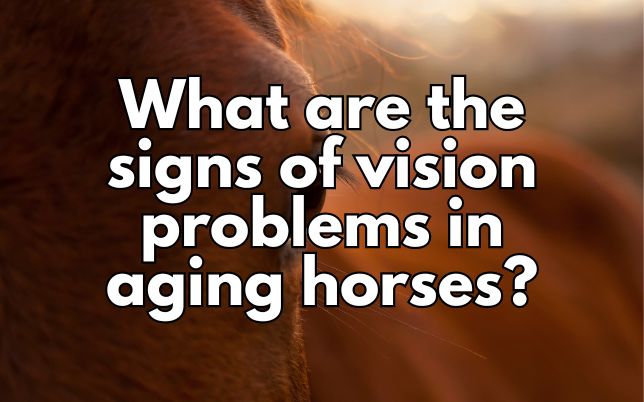 What are the signs of vision problems in aging horses?