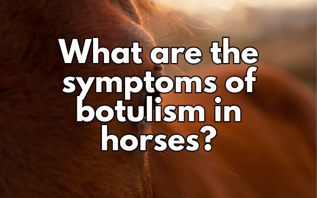 What are the symptoms of botulism in horses?