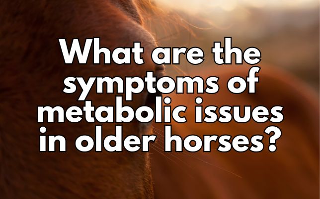 What are the symptoms of metabolic issues in older horses?