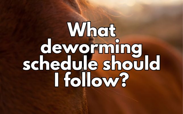 What deworming schedule should I follow?