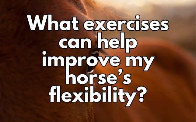 What exercises can help improve my horse’s flexibility?