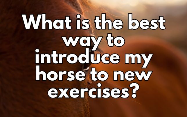 What is the best way to introduce my horse to new exercises?