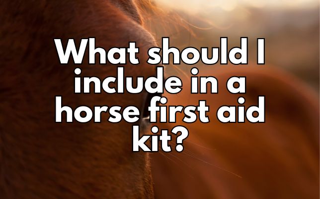 What should I include in a horse first aid kit?